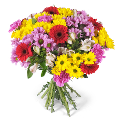 Kolorowe zawirowanie